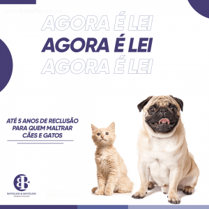 Na lei, o que irá acontecer para quem maltrata os animais?